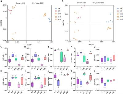 Host genotype and age shape the microbial community in the rhizosphere soils of Camellia forests